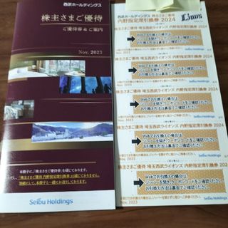 サイタマセイブライオンズ(埼玉西武ライオンズ)の西武HD株主優待　冊子　最新　1冊(その他)