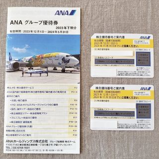 エーエヌエー(ゼンニッポンクウユ)(ANA(全日本空輸))のANA 全日本空輸 株主優待券 2枚(その他)