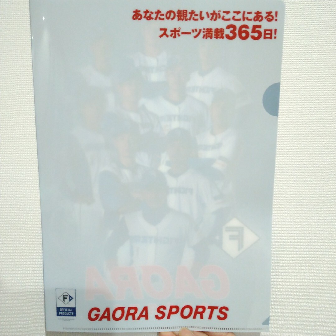 日ハム　クリアファイル エンタメ/ホビーのタレントグッズ(スポーツ選手)の商品写真