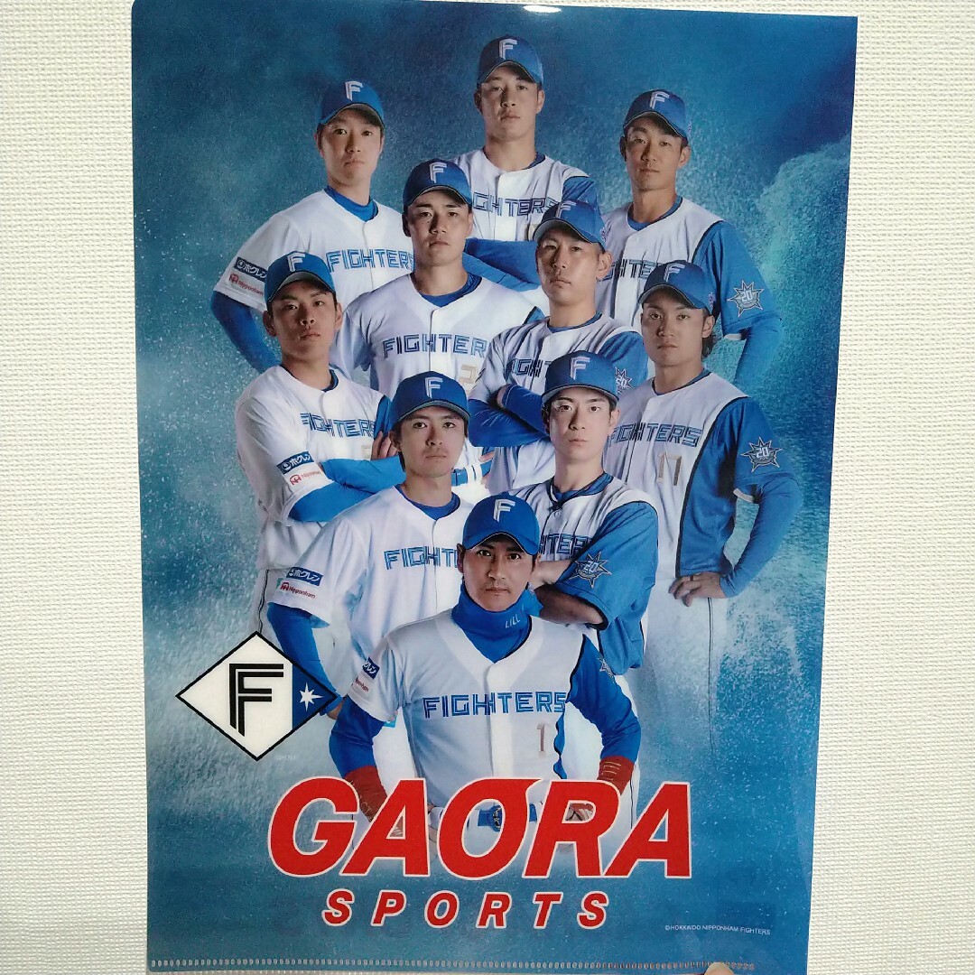 日ハム　クリアファイル エンタメ/ホビーのタレントグッズ(スポーツ選手)の商品写真