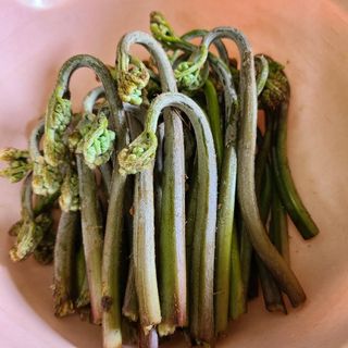 超貴重品！北海道産・鍵わらび塩漬け400グラム(野菜)