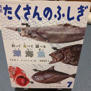 フクインカンショテン(福音館書店)の月刊 たくさんのふしぎ 2021年 07月号 [雑誌](絵本/児童書)