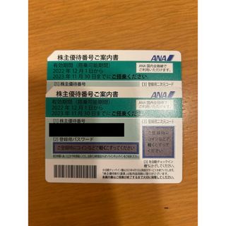 エーエヌエー(ゼンニッポンクウユ)(ANA(全日本空輸))の☆ANA 株主優待券　2枚SET☆(その他)