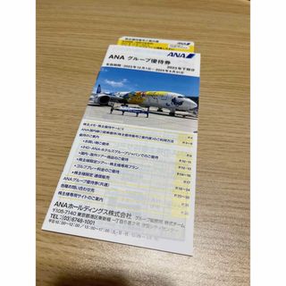 エーエヌエー(ゼンニッポンクウユ)(ANA(全日本空輸))のANA株主優待券＆ANAグループ優待冊子(その他)