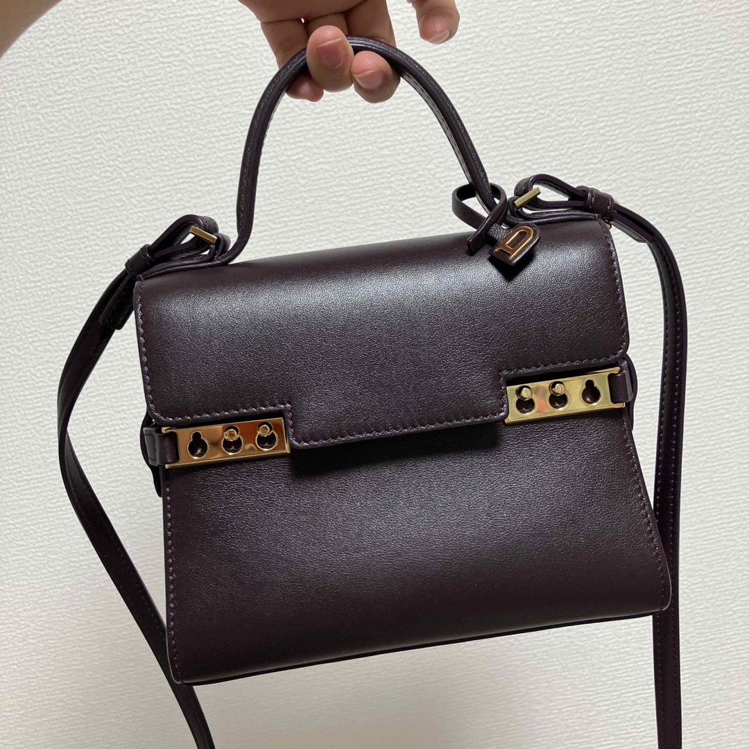 DELVAUX(デルヴォー)のデルヴォー　タンペートスモール レディースのバッグ(ハンドバッグ)の商品写真