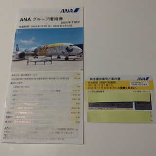 エーエヌエー(ゼンニッポンクウユ)(ANA(全日本空輸))のANA 株主優待券(その他)