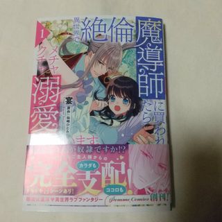 カドカワショテン(角川書店)の異世界で絶倫魔導師に買われたらメチャクチャ溺愛されています。 1巻(女性漫画)