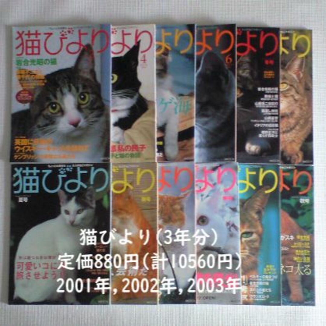 猫びより　2001年　2002年　2003年　3年分まとめて エンタメ/ホビーの雑誌(アート/エンタメ/ホビー)の商品写真