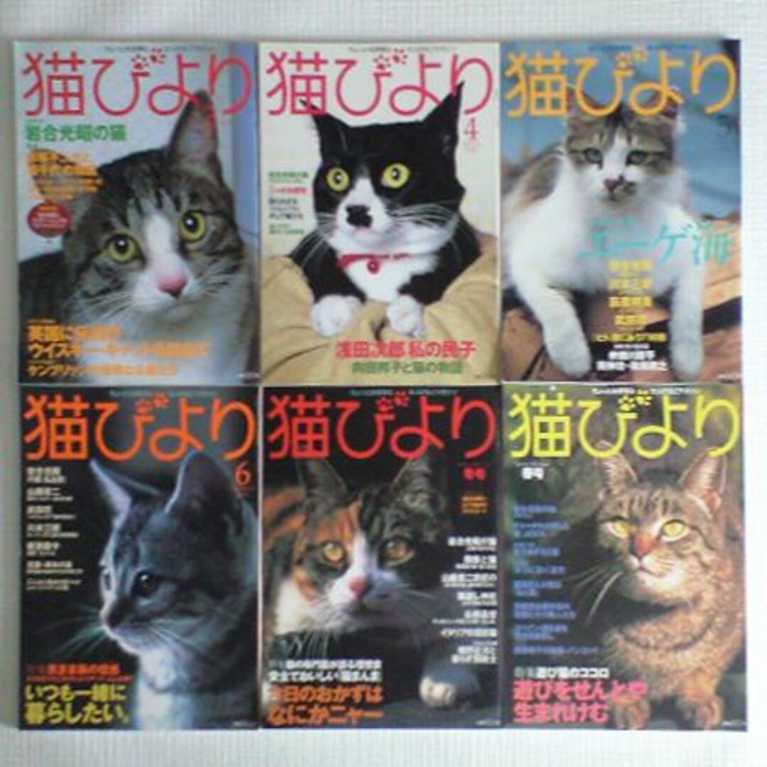 猫びより　2001年　2002年　2003年　3年分まとめて エンタメ/ホビーの雑誌(アート/エンタメ/ホビー)の商品写真