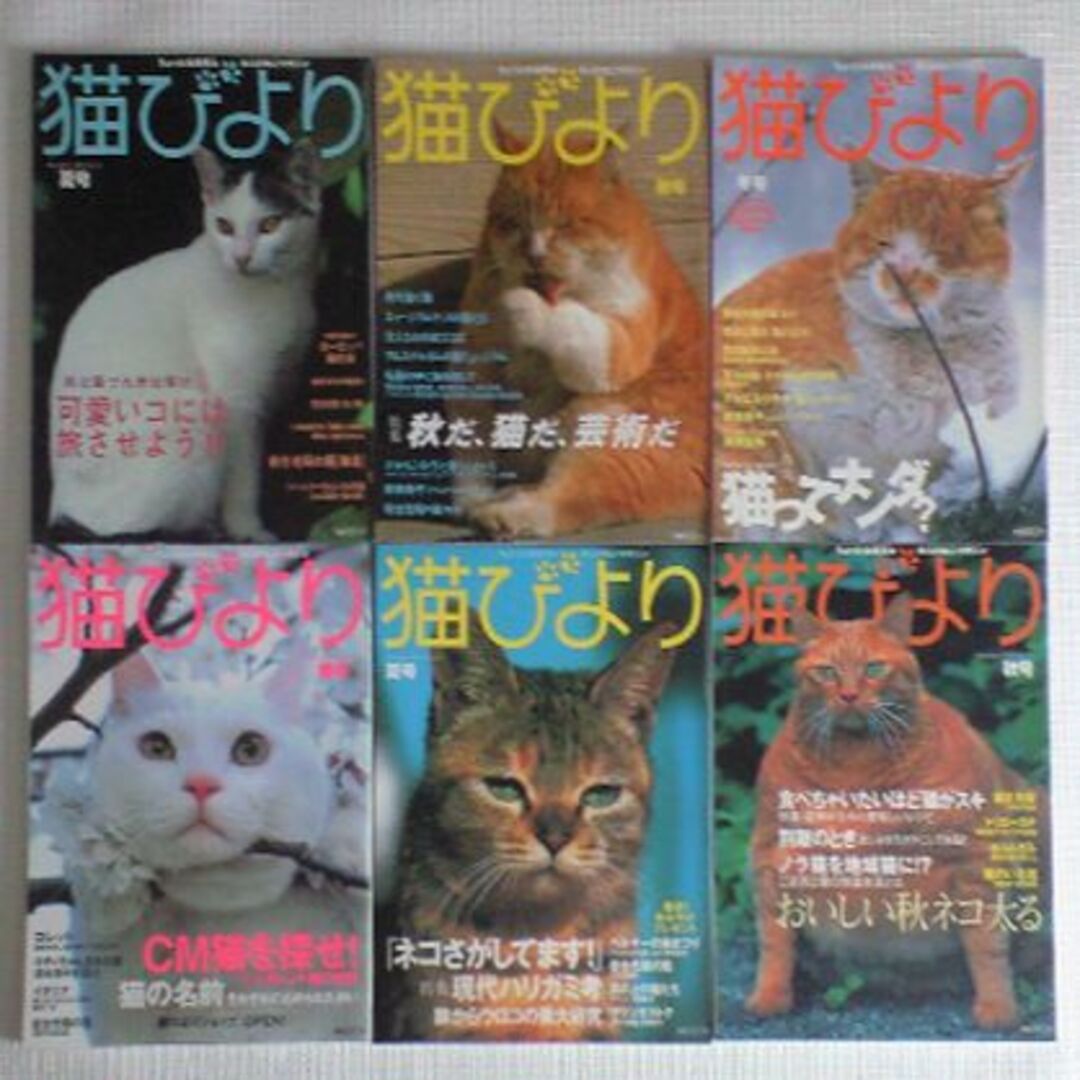 猫びより　2001年　2002年　2003年　3年分まとめて エンタメ/ホビーの雑誌(アート/エンタメ/ホビー)の商品写真