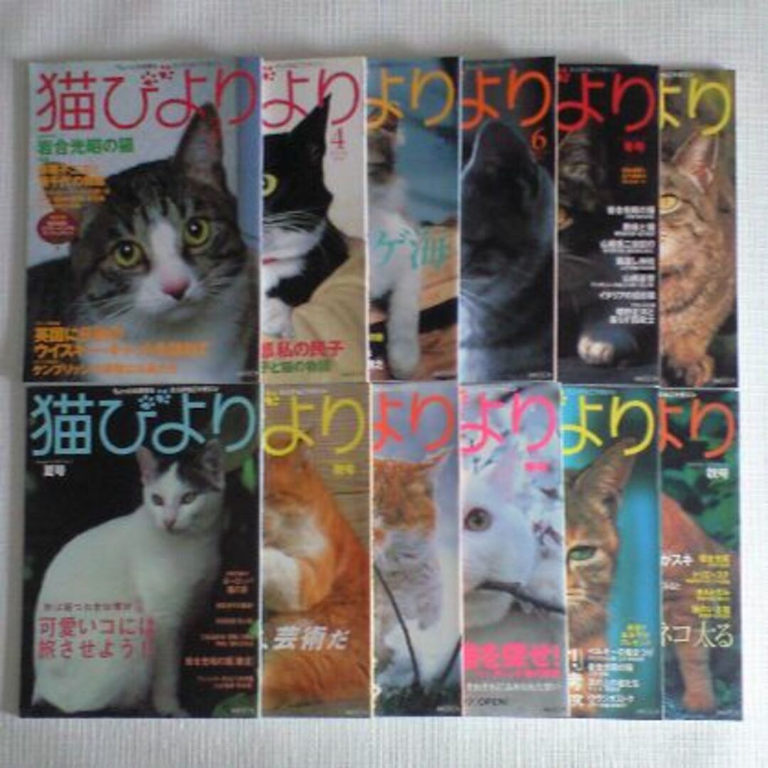 猫びより　2001年　2002年　2003年　3年分まとめて エンタメ/ホビーの雑誌(アート/エンタメ/ホビー)の商品写真