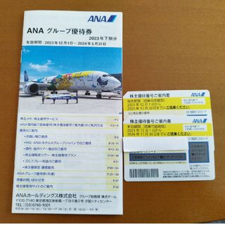 エーエヌエー(ゼンニッポンクウユ)(ANA(全日本空輸))のANA 全日空 株主優待2枚　2024年11月30日まで(航空券)