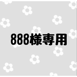 888様専用(つけ爪/ネイルチップ)