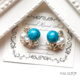 257.ピアス/イヤリング(ピアス)