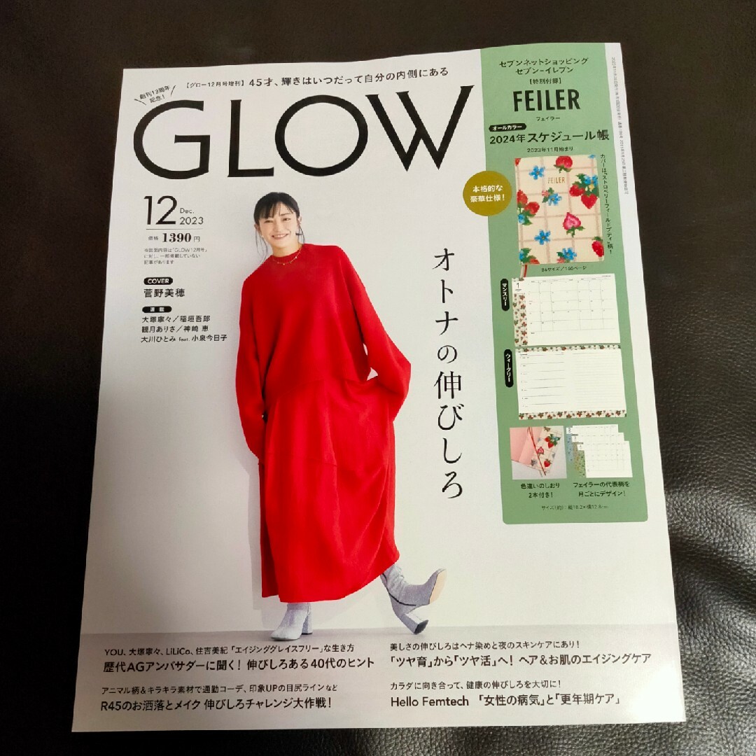 宝島社(タカラジマシャ)のグロー 12月号 雑誌のみ エンタメ/ホビーの本(ファッション/美容)の商品写真