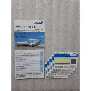 エーエヌエー(ゼンニッポンクウユ)(ANA(全日本空輸))のANA 株主優待券(航空券)