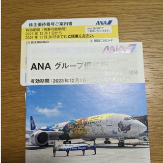 エーエヌエー(ゼンニッポンクウユ)(ANA(全日本空輸))のANA　株主優待(航空券)