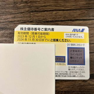 エーエヌエー(ゼンニッポンクウユ)(ANA(全日本空輸))のANA 株主優待(航空券)