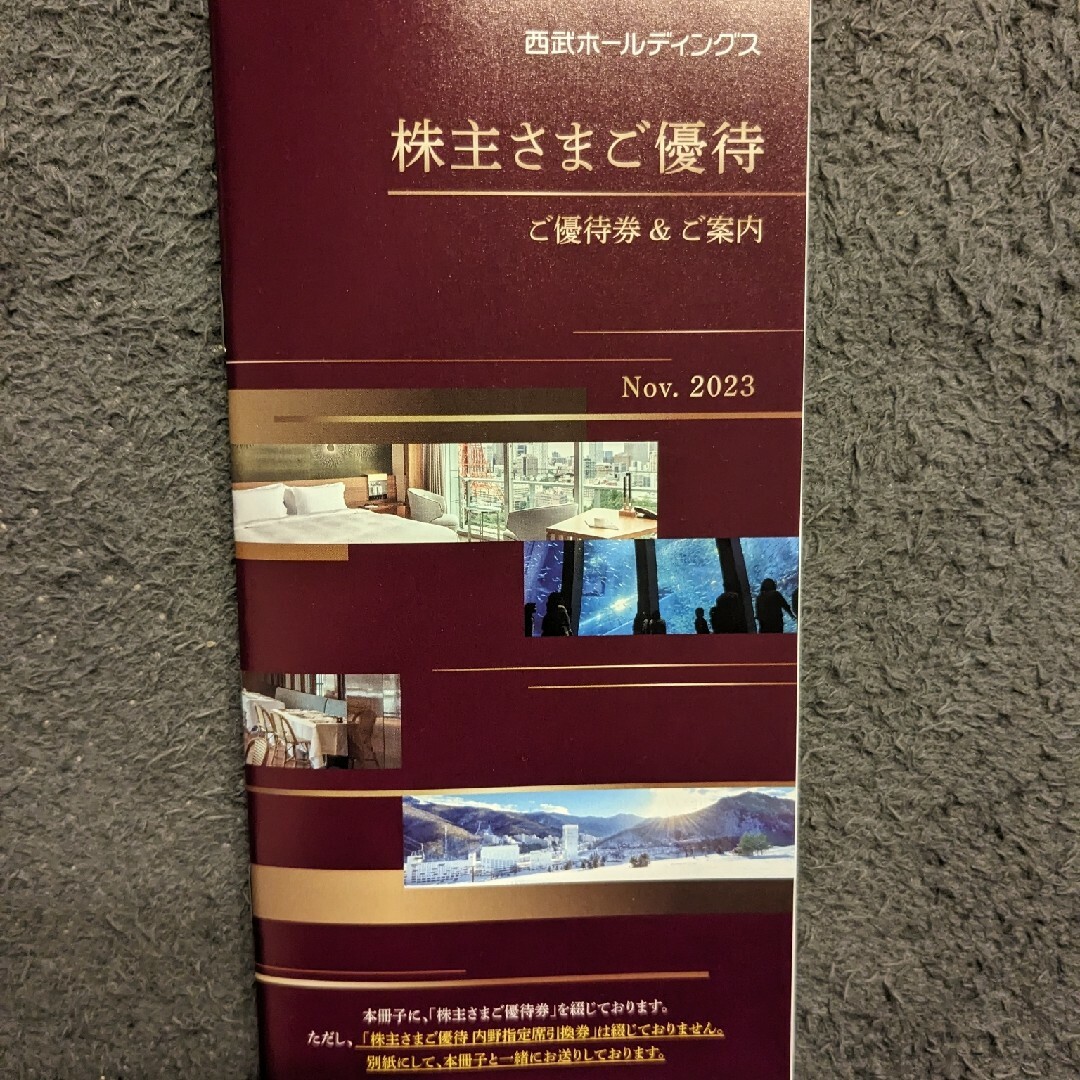 チケット最新 西武ホールディングス 株主優待 冊子 1冊 - その他