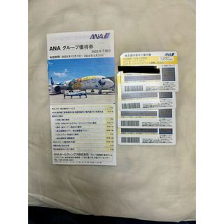 ANA（全日空）株主優待(航空券)