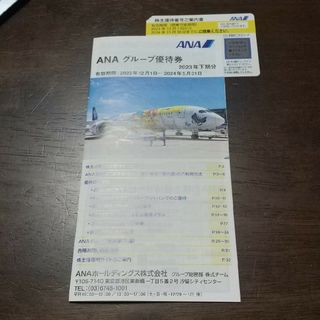 ANA 株主優待(その他)