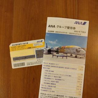 エーエヌエー(ゼンニッポンクウユ)(ANA(全日本空輸))のANAホールディングス株主優待(ショッピング)