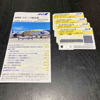 株主優待　ANAホールディングス(その他)