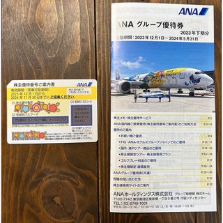 エーエヌエー(ゼンニッポンクウユ)(ANA(全日本空輸))のANA 全日空　株主優待券(その他)