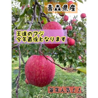 王道の林檎　ふじ　大人気　今年限定格安　農家直送　りんご(ふじ)　7〜8キロ(フルーツ)