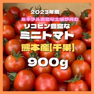 ミニトマト　900g 野菜　産地直送　トマト　甘い　ミネラル　リコピン　ハウス(野菜)
