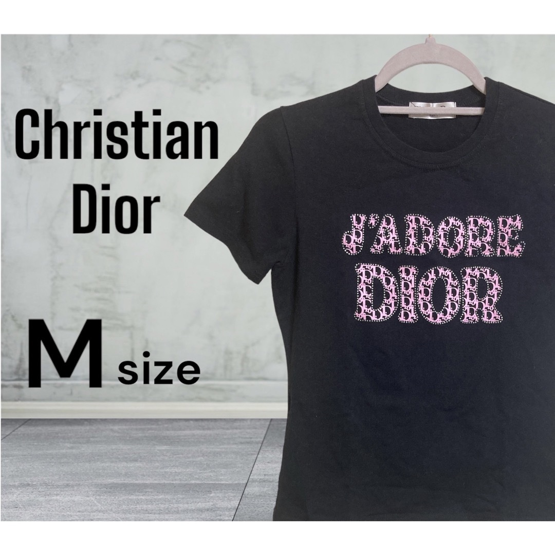 クリスチャンディオールChristianDiorトロッターロゴ入りTシャツ