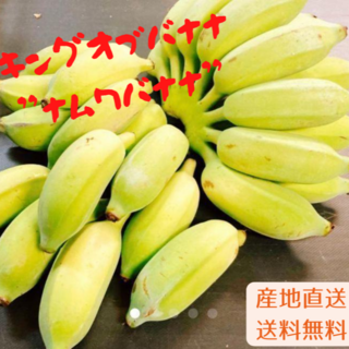 沖縄最高峰！やんばる産　バナナの王様！キングオブ「ナムワバナナ」(フルーツ)