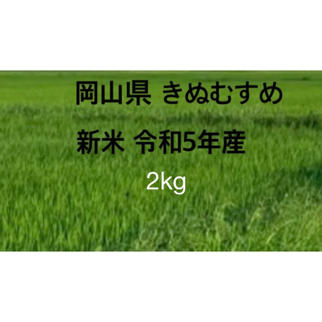 きぬむすめ　by　2kg　新米　令和5年産の通販　岡山県　rabbitfoot｜ラクマ