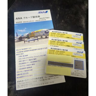 エーエヌエー(ゼンニッポンクウユ)(ANA(全日本空輸))のANA株主優待(航空券)