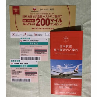 ジャル(ニホンコウクウ)(JAL(日本航空))の日本航空 JAL 株主優待券　2枚セット　2025年5月31まで！　冊子付き！！(航空券)