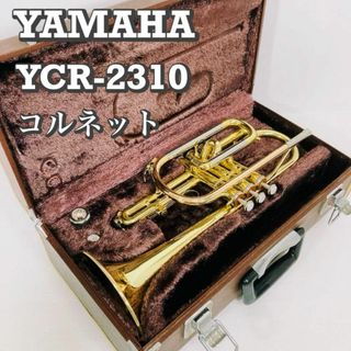 ハードケースの通販 58点（楽器） | お得な新品・中古・未使用品の ...