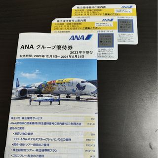 エーエヌエー(ゼンニッポンクウユ)(ANA(全日本空輸))のANA株主優待券2枚グループ優待券1冊(航空券)