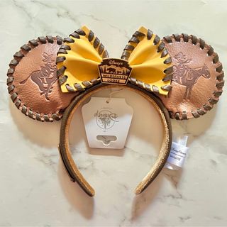 ディズニー(Disney)の海外ディズニー　ラウンジフライ　カチューシャ　WDW　ウィルダネスロッジ　新品(カチューシャ)