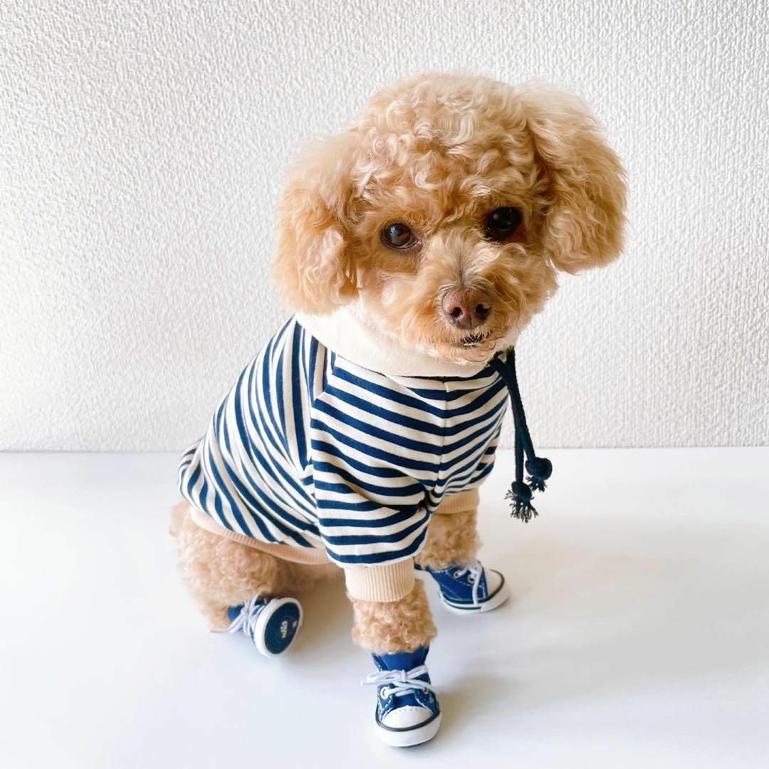 犬の靴 デニム 【1号】お散歩 ブルー キャンバス 運動靴 小型犬 ペット 靴 その他のペット用品(犬)の商品写真