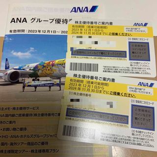 エーエヌエー(ゼンニッポンクウユ)(ANA(全日本空輸))のANA 国内線ご搭乗優待 株主優待券　2枚セット(航空券)