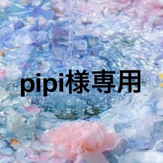 ♡pipi様専用♡(プランター)