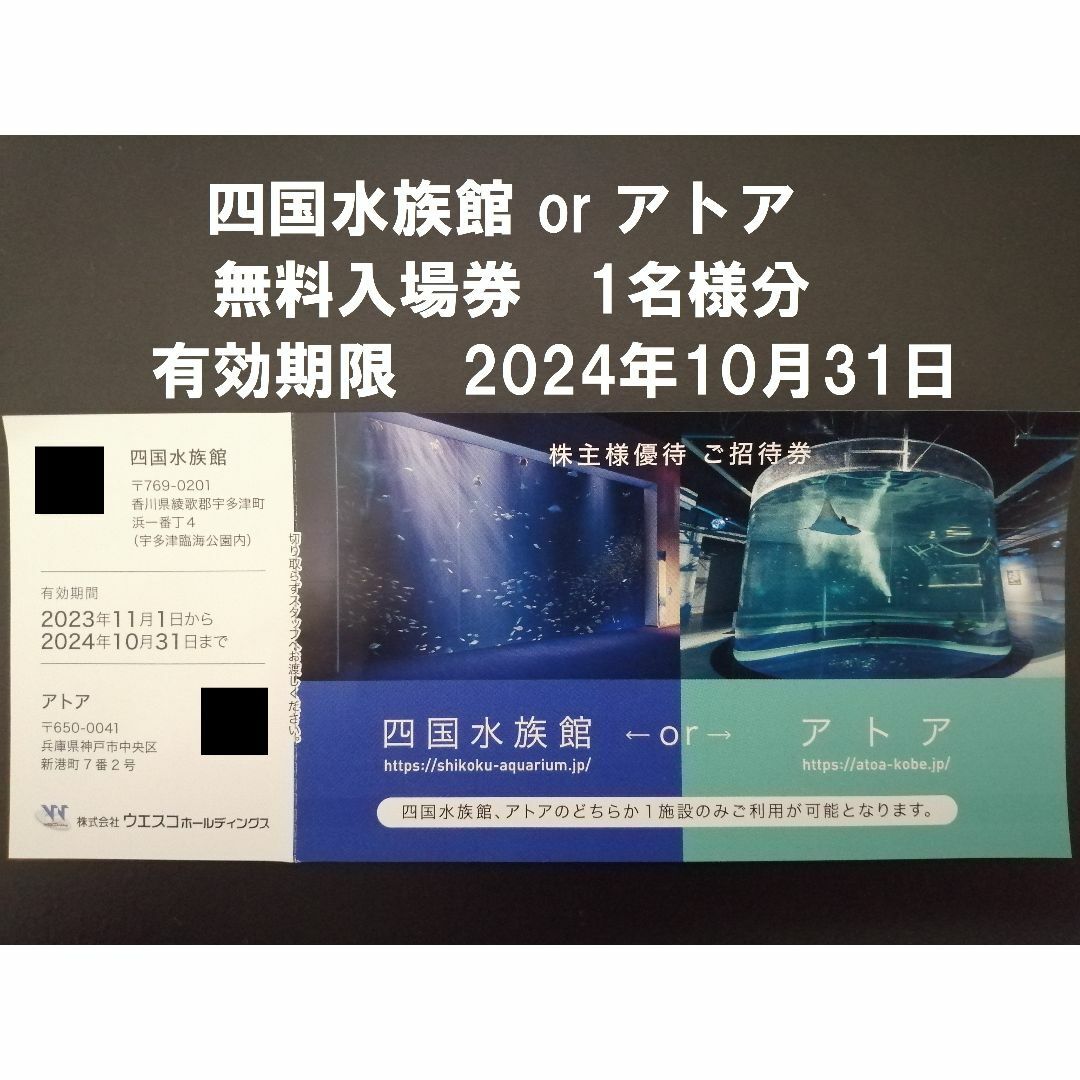 四国水族館　アトア　入場券　1枚 チケットの優待券/割引券(その他)の商品写真