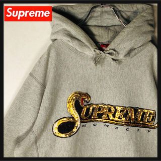 こちら‼️超貴重‼️supremeコラボchampion 立体刺繍ロゴ57サイズ