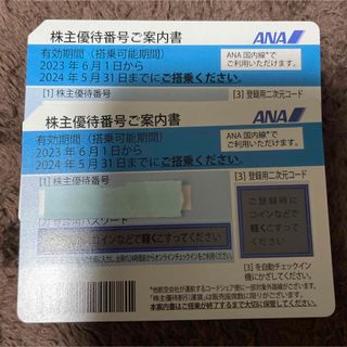 ANA 全日空 株主優待券 2枚 ☆送料無料☆ おまけ冊子付き(その他)