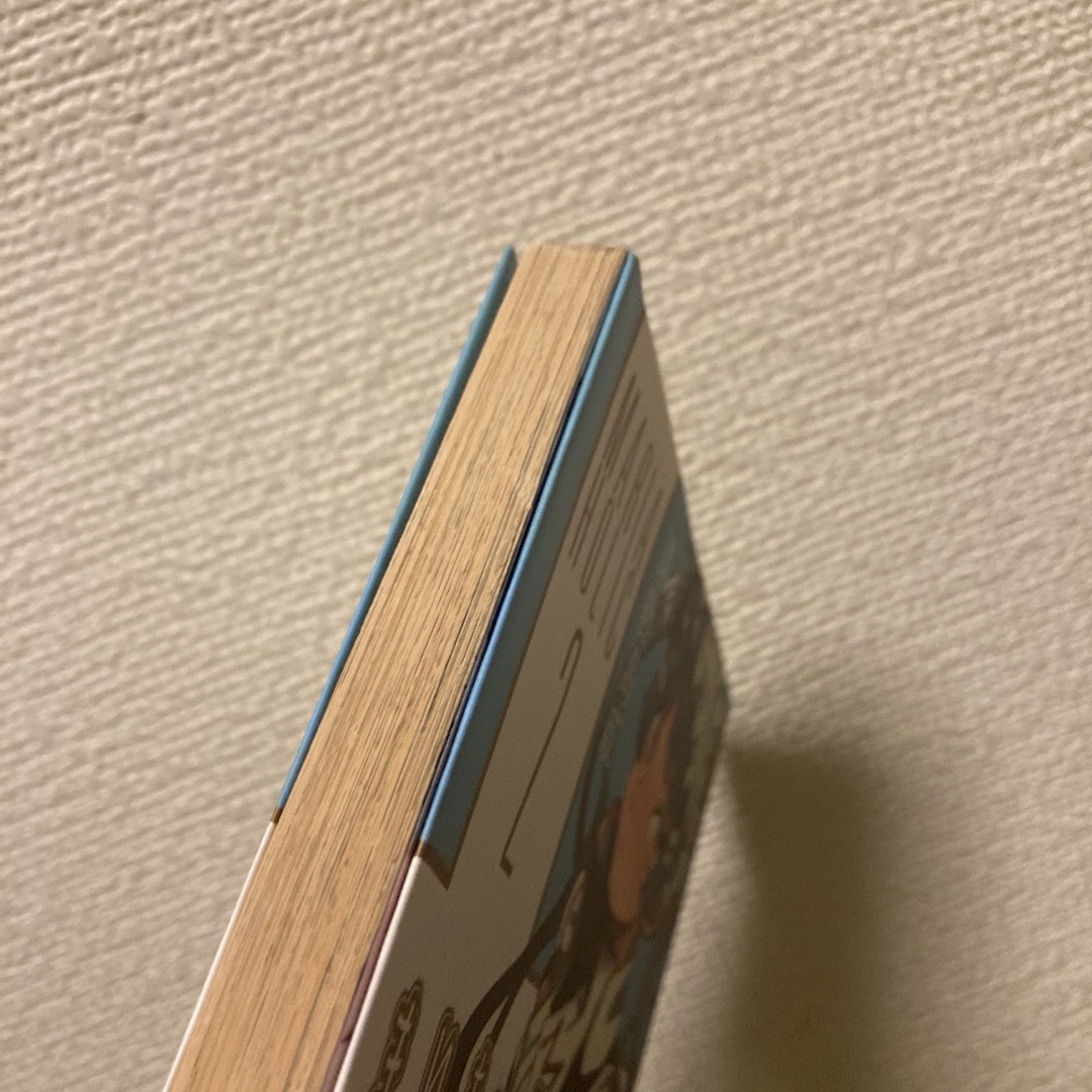 まりあ・ほりっく 2巻 エンタメ/ホビーの漫画(その他)の商品写真