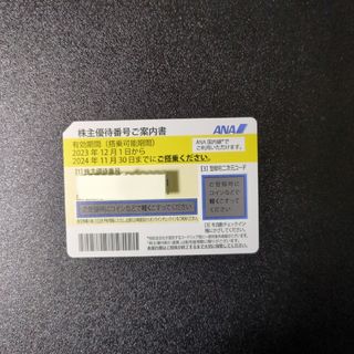 ANA株主優待券 1枚 有効期限 2024/11/30(航空券)