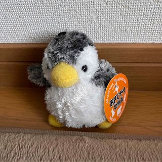 旭山動物園　ペンギン　ぬいぐるみ　限定(ぬいぐるみ)