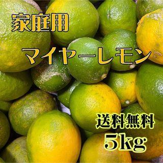 熊本県産 家庭用マイヤーレモン 5kg 送料無料(フルーツ)