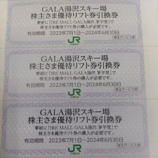 ジェイアール(JR)のＪＲ東日本優待券のガーラ湯沢スキー場リフト20%割引券12枚300円(スキー場)