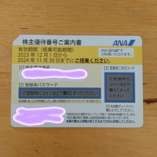 エーエヌエー(ゼンニッポンクウユ)(ANA(全日本空輸))のANA 全日空 株主優待券(航空券)